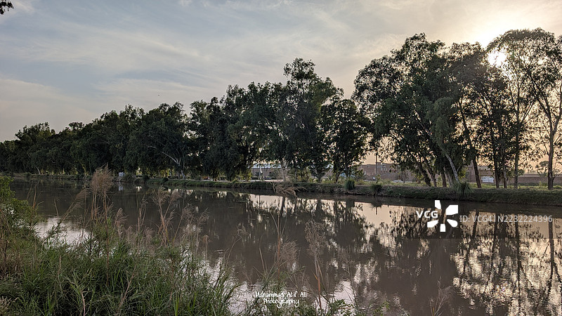 日落时分宁静的河岸与树木图片素材