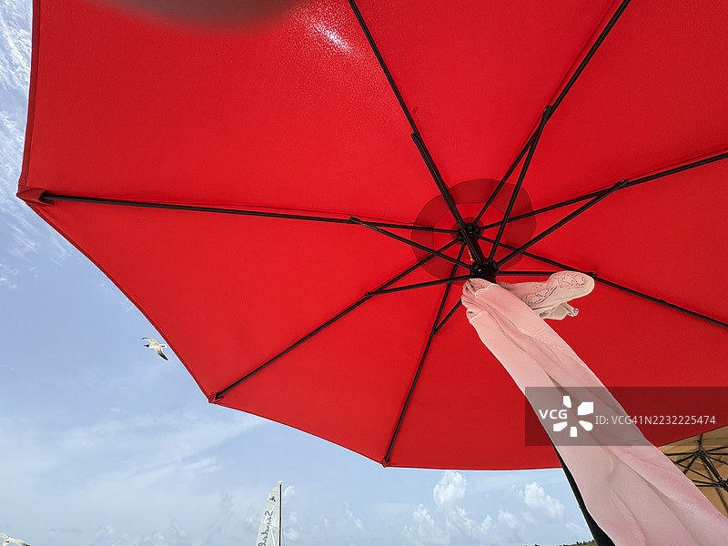 低角度视图下的红伞与蓝天图片素材