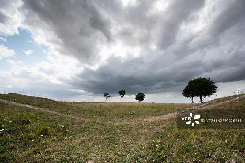 英国开放田野上方的戏剧性天空与树木图片素材