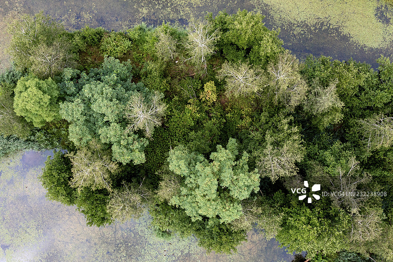 德劳河中的岛屿鸟瞰图，布伦多夫鸟类保护区，卡恩滕，奥地利图片素材