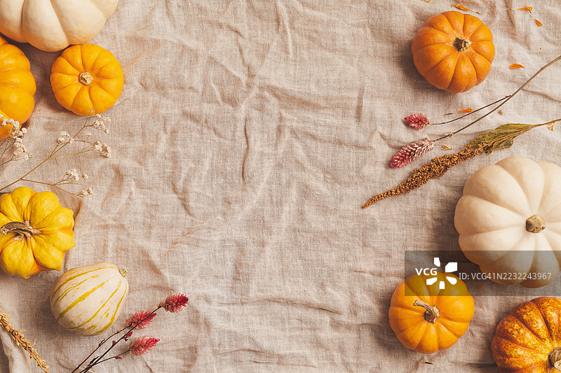 秋季丰收布置，搭配南瓜和干花，放在亚麻布上图片素材