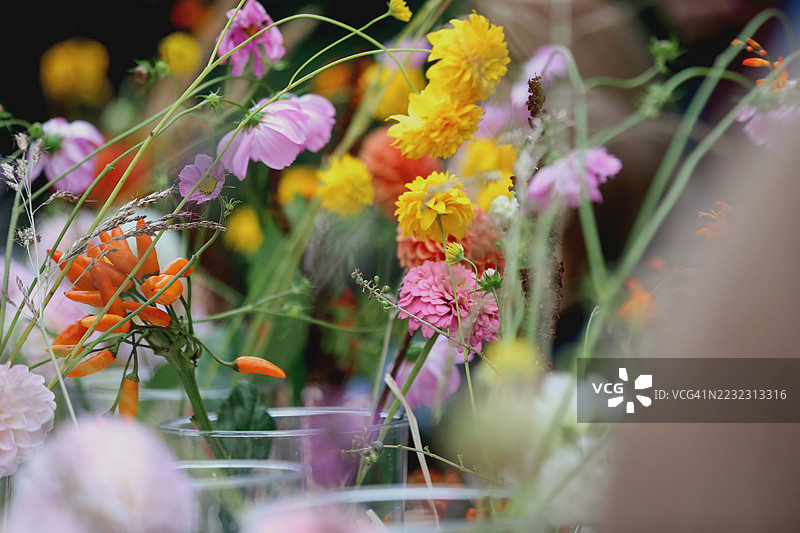 当地花店的礼品店，提供新鲜花卉和盆栽植物图片素材
