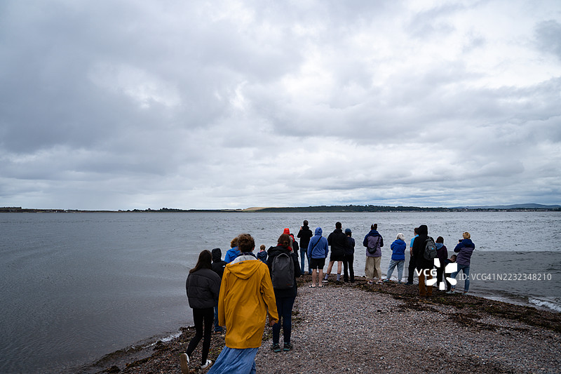 人们站在鹅卵石海滩上观看海豚图片素材