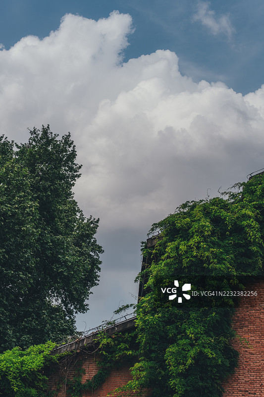 被云层笼罩的景色下，景德镇，江西，中国的杂草丛生的砖墙与郁郁葱葱的绿植图片素材