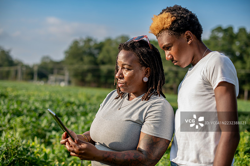 女农民和儿子在田野里使用平板电脑图片素材