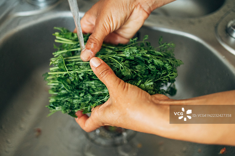 厨师在厨房水槽中清洗新鲜香菜图片素材