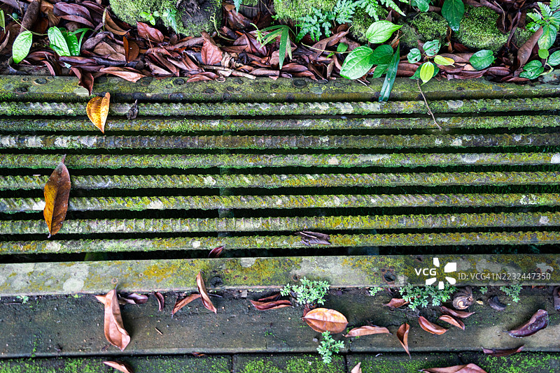 长满苔藓的排水沟图片素材