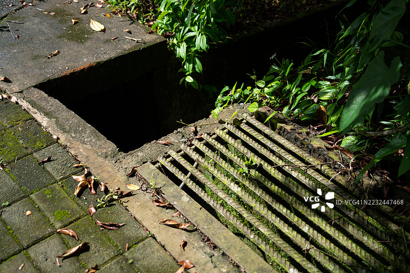 长满苔藓的排水沟图片素材