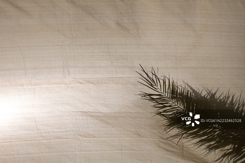树的影子投射在浅棕色的布料背景上图片素材