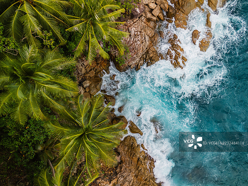 热带棕榈海岸线的鸟瞰图，波涛汹涌图片素材