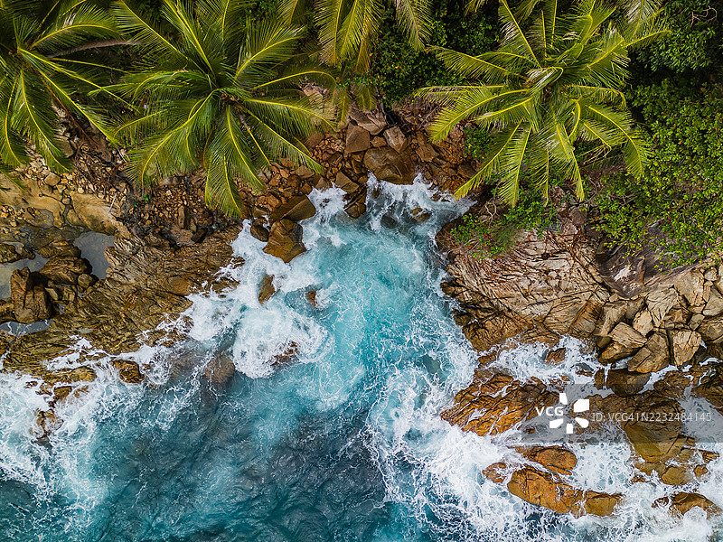 热带棕榈海岸线的鸟瞰图，波涛汹涌图片素材