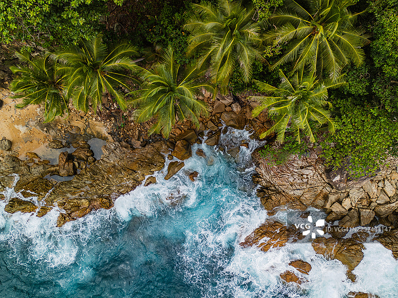 热带棕榈海岸线的鸟瞰图，波涛汹涌图片素材