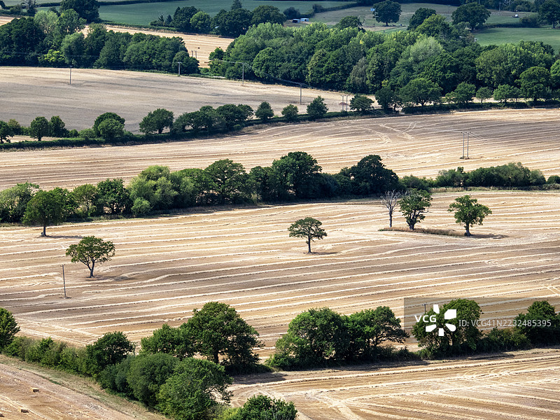 俯瞰英国什罗普郡凯尔卡多克山下的农田里已收割的谷物作物。图片素材