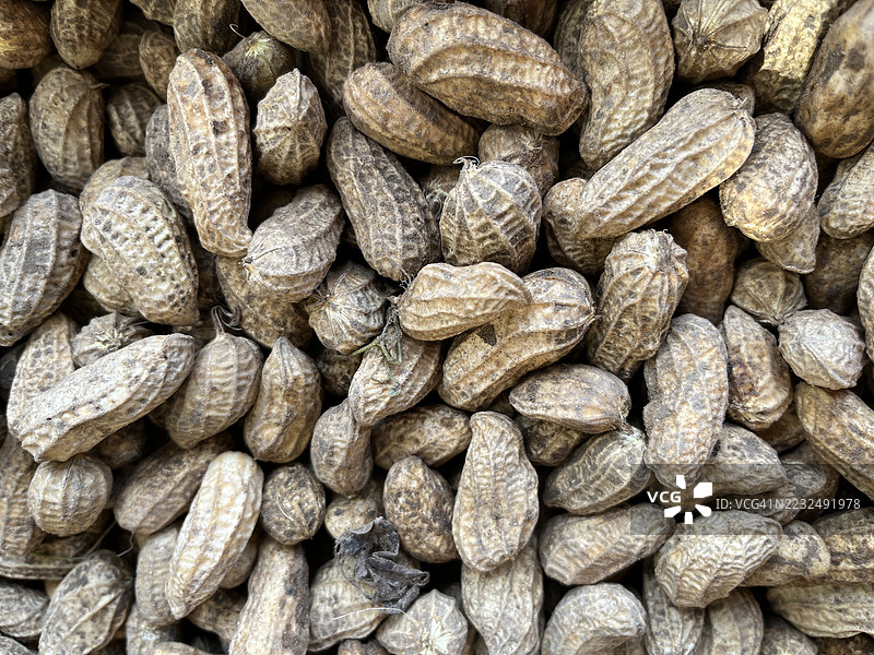 花生促销图片素材