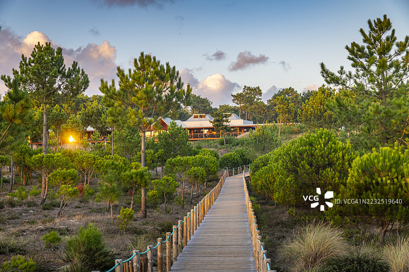 维亚纳堡海边松林中的木栈道。图片素材