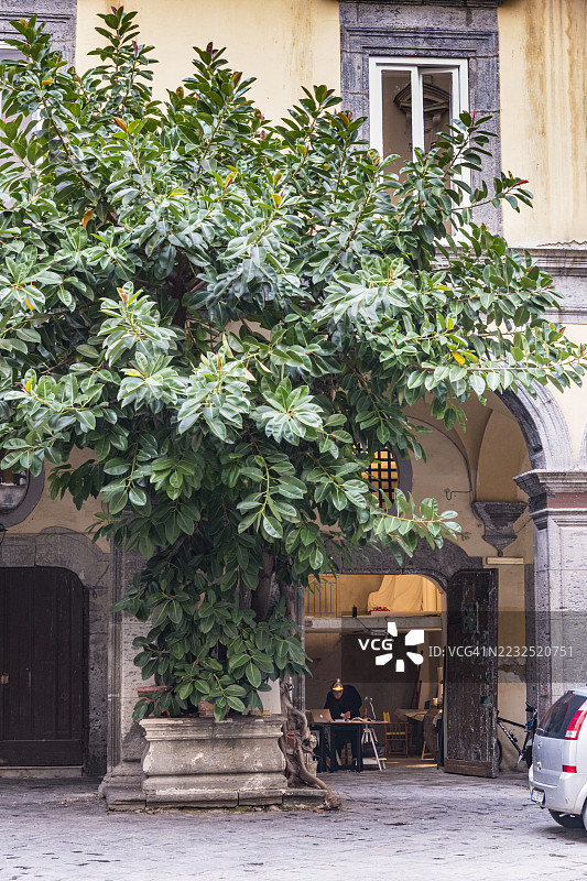 那不勒斯，宫殿的庭院图片素材