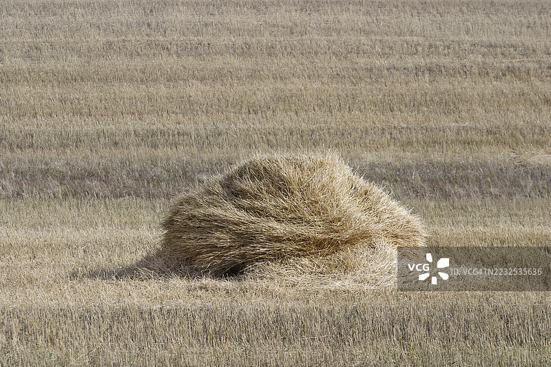 干草堆图片素材