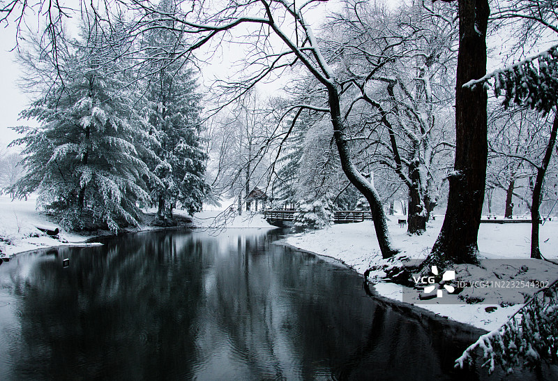 冬季仙境，雪覆盖的树木和冰冻的湖泊，米尔霍尔，美国图片素材