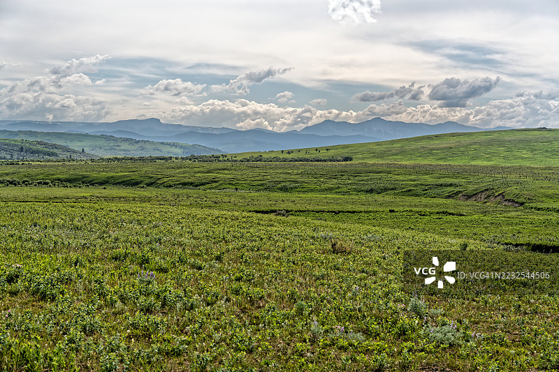 广阔的绿色田野与山脉和多云的天空，加拿大福特希尔县图片素材