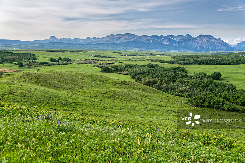 广阔的绿色田野与远处的山脉，加拿大图片素材