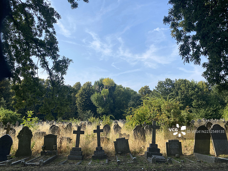 古老的墓地，墓碑和树木在蓝天之下，伦敦，英国图片素材