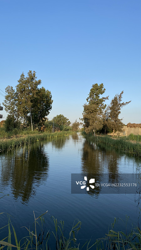 宁静的河流在晴朗的蓝天下倒映着树木，埃及图片素材