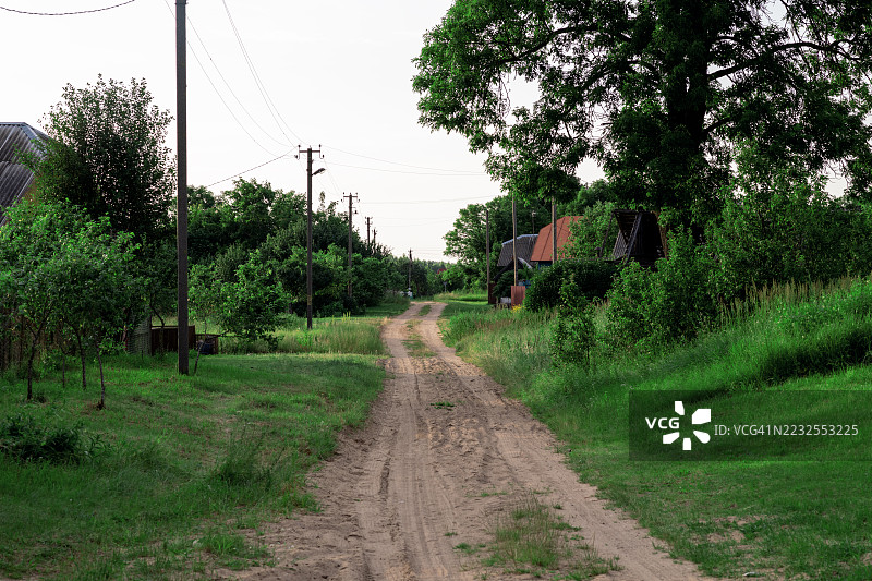 被绿树和植被环绕的乡村土路图片素材