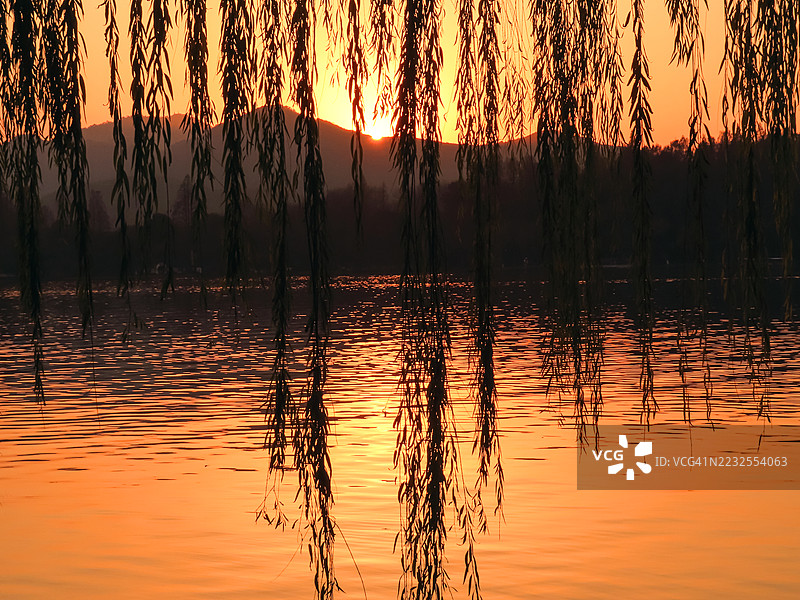 湖上日落与剪影柳枝， 中国图片素材