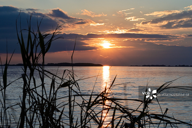 阿根廷圣佩德罗的海上日落，前景中有剪影的芦苇。图片素材