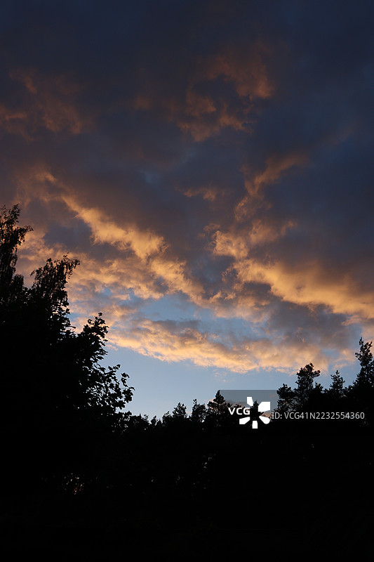 树木的剪影映衬着戏剧性的日落天空图片素材