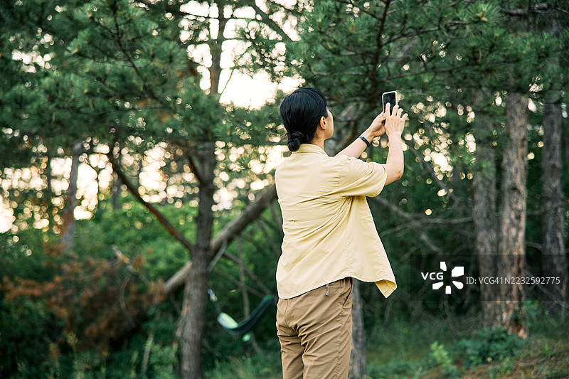 在日落时分，绿树间户外拿着智能手机的人图片素材