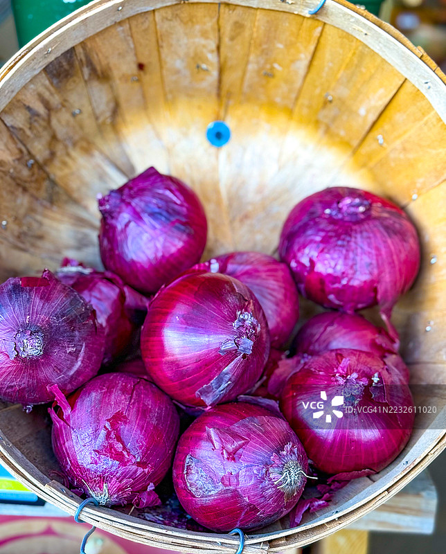 维达利亚洋葱图片素材
