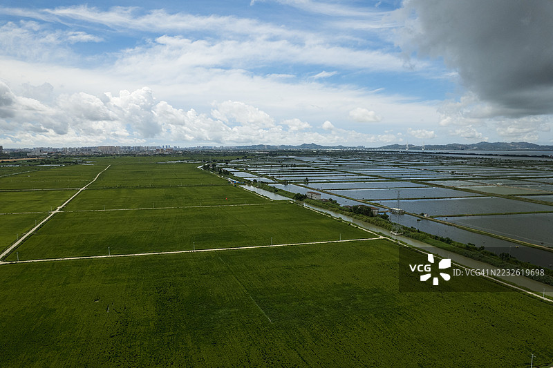 牛田洋航拍；湿地景观图片素材