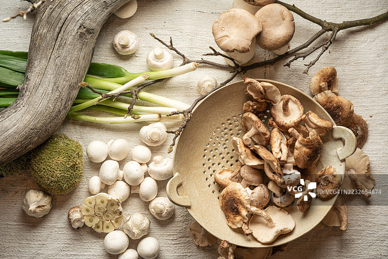 各种新鲜蘑菇与葱和大蒜，整齐排列，准备烹饪。图片素材