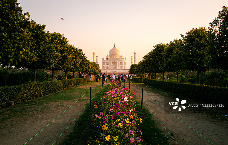 泰姬陵与晚霞中的五彩花朵图片素材