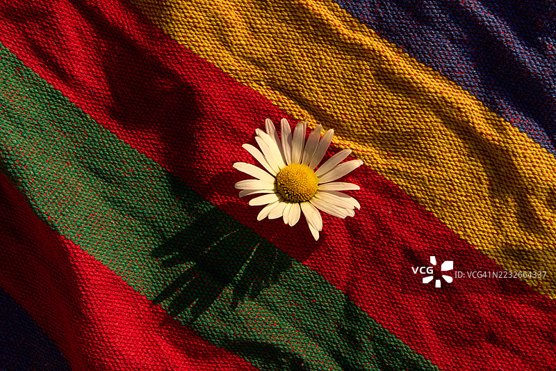 色彩斑斓条纹布背景上的静物花卉。图片素材