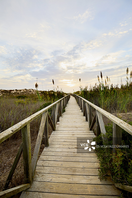 沙丘和植物间的栈道，通向日落时分的海滩和大海，旁边有栏杆。图片素材