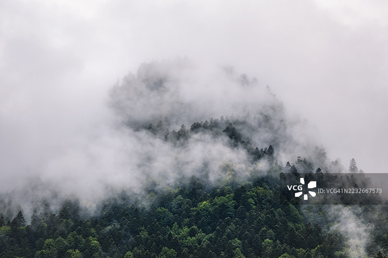 被雨云笼罩的树木覆盖的山峰风景视图图片素材