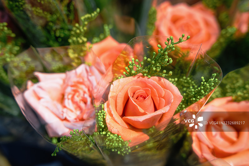 橙色或柔和红色玫瑰的包装花束图片素材