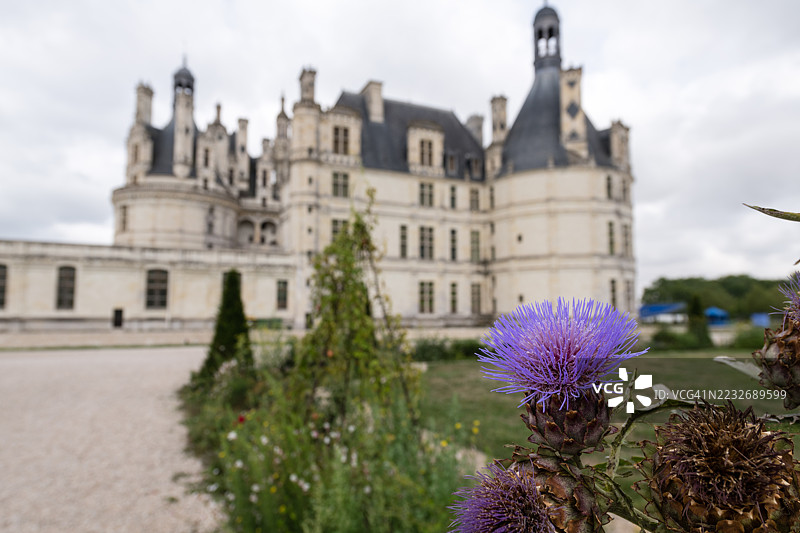 香波堡中的花卉图片素材