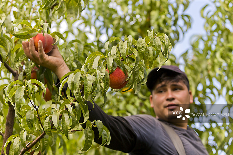 美国农业经营活动图片素材