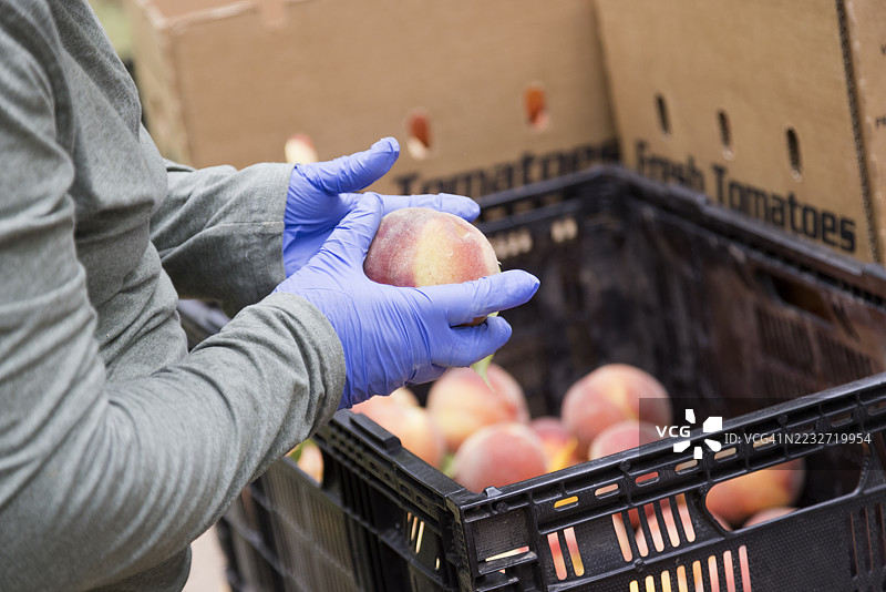 美国农业经营活动图片素材