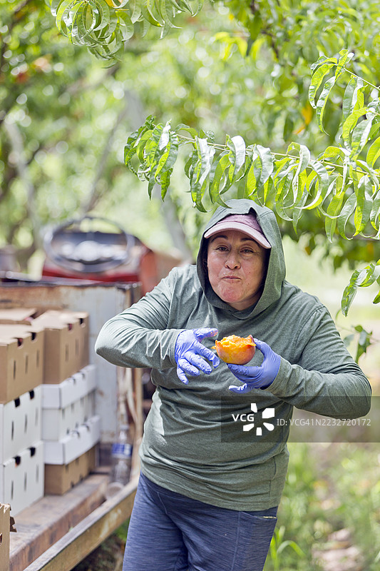 美国农业经营活动图片素材