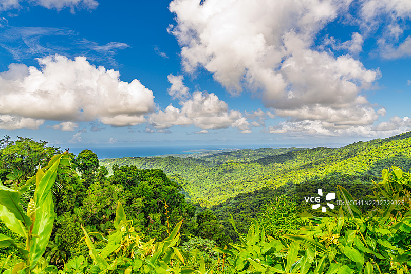 从波多黎各埃尔云克峰塔的视角。图片素材