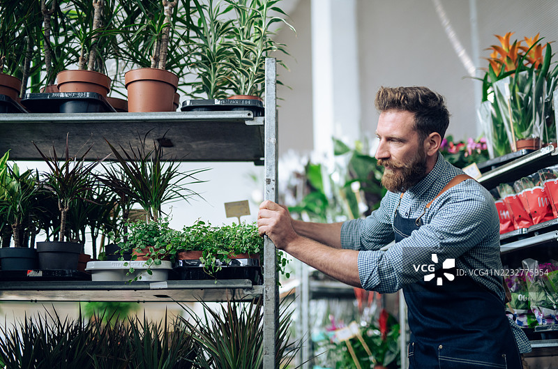 留胡子的男人在花店工作。图片素材