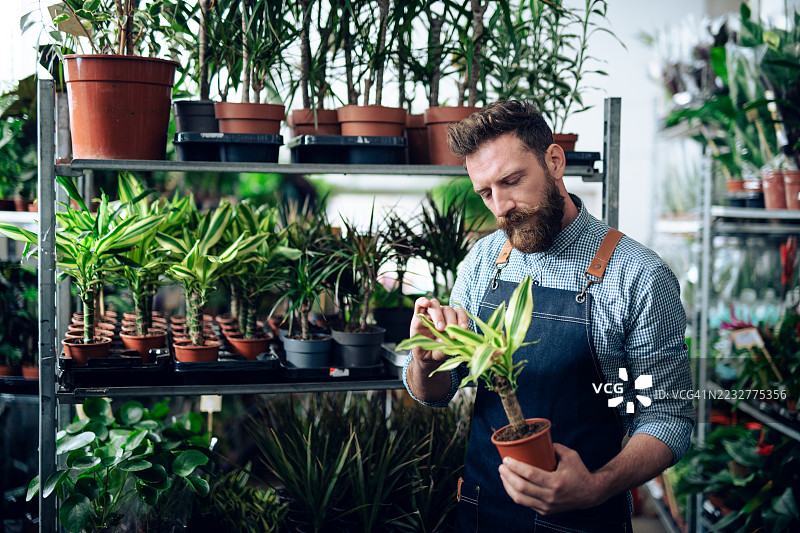 与花卉打交道可以是一个宁静而成功的小生意。图片素材