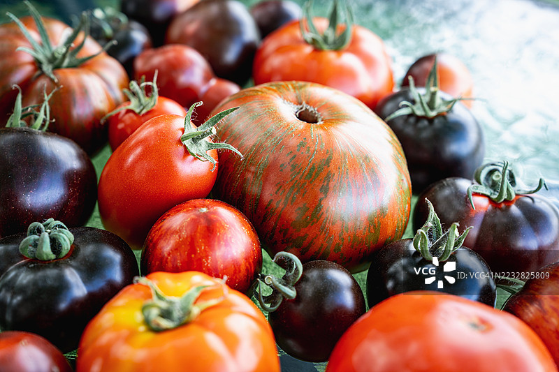 高处俯瞰各种新鲜番茄放在桌子上。黑美人番茄和樱桃番茄图片素材