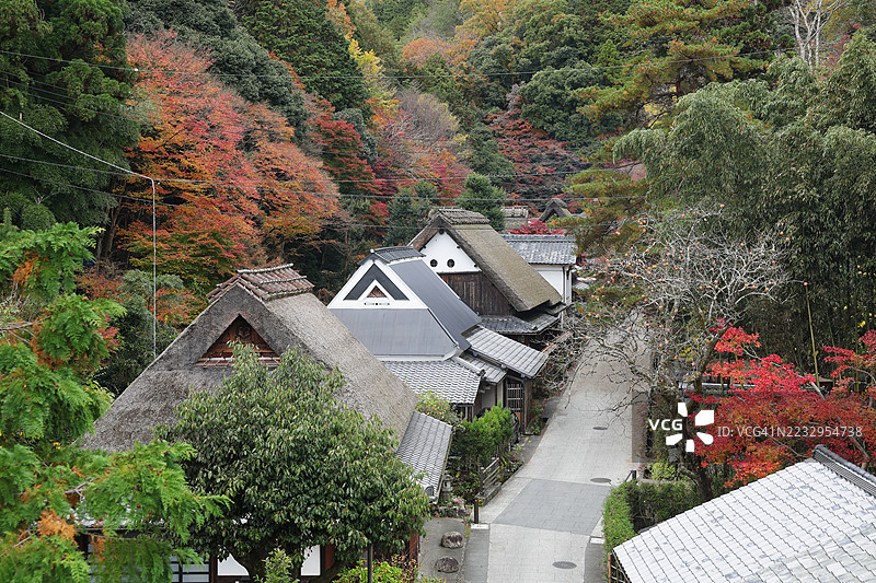 京都佐贺鸟本历史街区的深秋景色图片素材