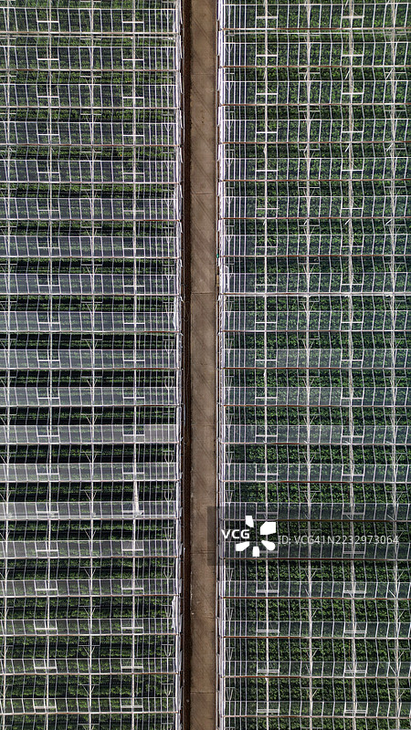 商业温室图片素材