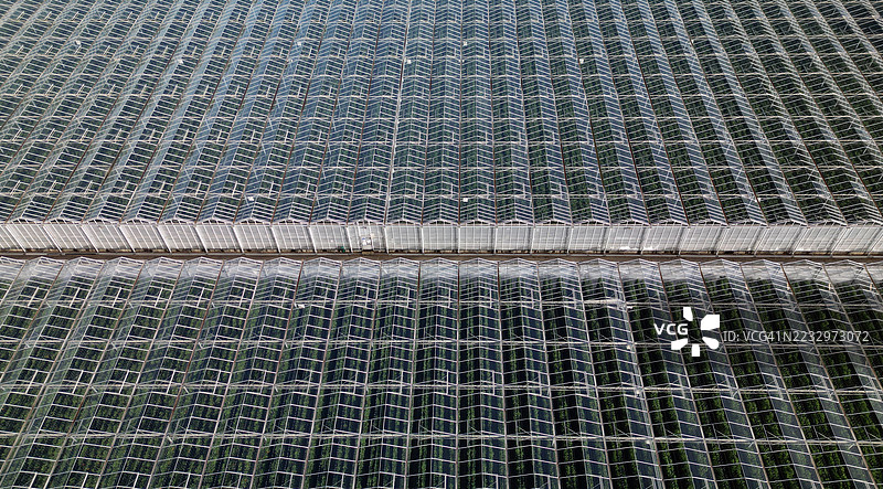 商业温室图片素材